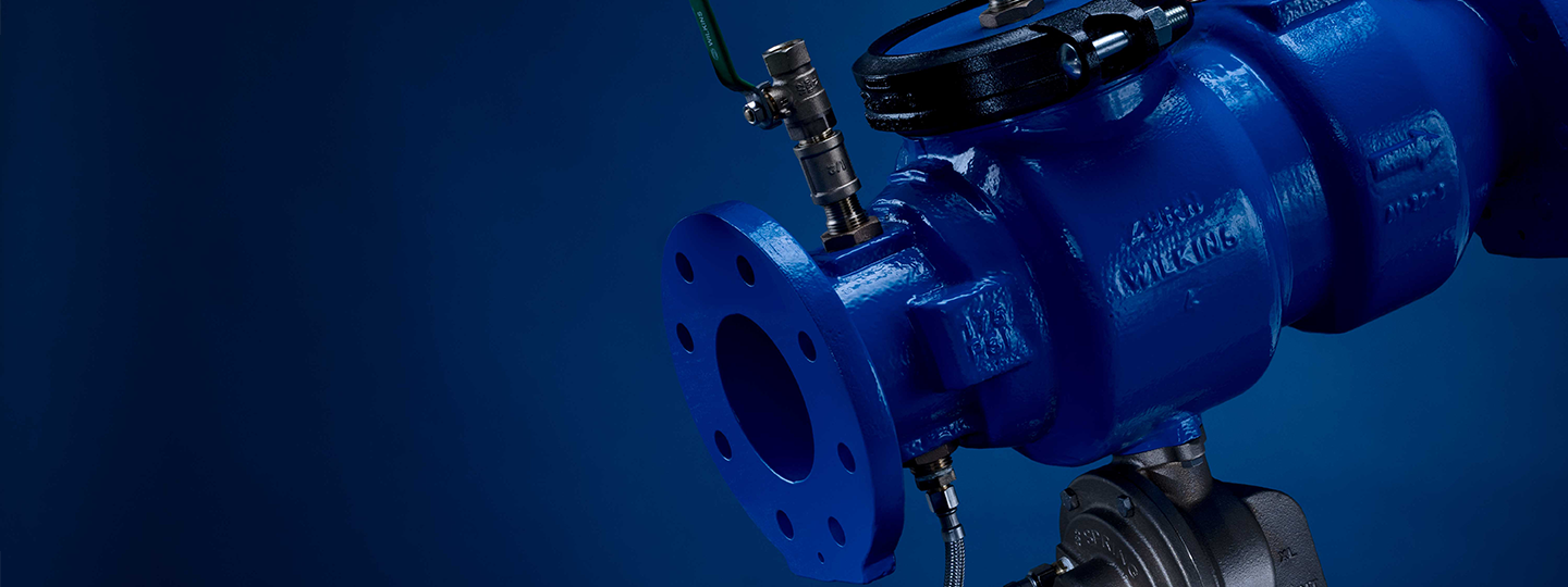 WE'RE BIG IN BACKFLOW